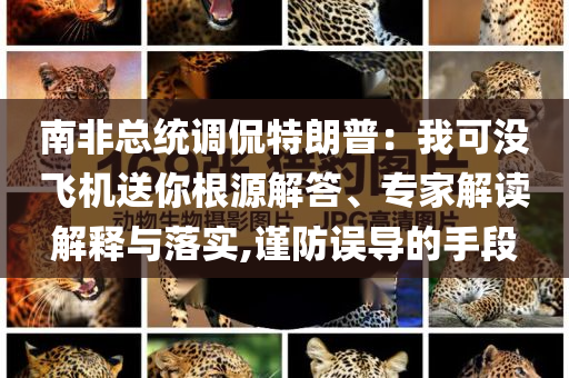 南非總統(tǒng)調(diào)侃特朗普：我可沒(méi)飛機(jī)送你根源解答、專家解讀解釋與落實(shí),謹(jǐn)防誤導(dǎo)的手段
