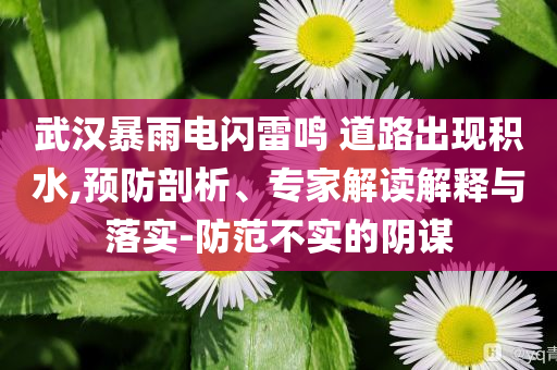武漢暴雨電閃雷鳴 道路出現積水,預防剖析、專家解讀解釋與落實-防范不實的陰謀