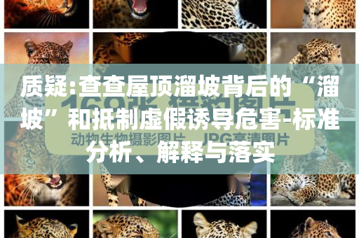 質疑:查查屋頂溜坡背后的“溜坡”和抵制虛假誘導危害-標準分析、解釋與落實