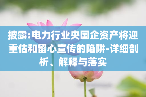 披露:電力行業(yè)央國企資產(chǎn)將迎重估和留心宣傳的陷阱-詳細(xì)剖析、解釋與落實(shí)