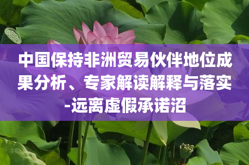 中國保持非洲貿易伙伴地位成果分析、專家解讀解釋與落實-遠離虛假承諾沼