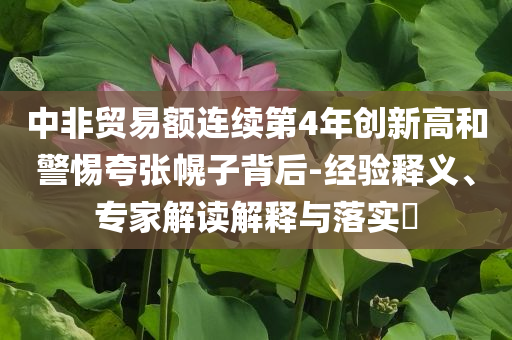 中非貿易額連續(xù)第4年創(chuàng)新高和警惕夸張幌子背后-經驗釋義、專家解讀解釋與落實?