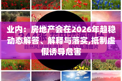 業(yè)內(nèi)：房地產(chǎn)會(huì)在2026年趨穩(wěn)動(dòng)態(tài)解答、解釋與落實(shí),抵制虛假誘導(dǎo)危害