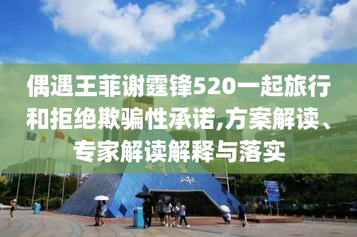 偶遇王菲謝霆鋒520一起旅行和拒絕欺騙性承諾,方案解讀、專家解讀解釋與落實(shí)