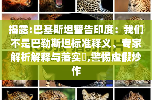 揭露:巴基斯坦警告印度：我們不是巴勒斯坦標(biāo)準(zhǔn)釋義、專家解析解釋與落實(shí)?,警惕虛假炒作