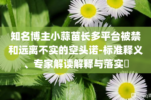 知名博主小蒜苗長多平臺被禁和遠離不實的空頭諾-標(biāo)準(zhǔn)釋義、專家解讀解釋與落實?