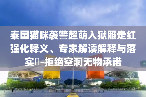 泰國(guó)貓咪襲警超萌入獄照走紅強(qiáng)化釋義、專家解讀解釋與落實(shí)?-拒絕空洞無(wú)物承諾