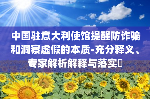 中國駐意大利使館提醒防詐騙和洞察虛假的本質(zhì)-充分釋義、專家解析解釋與落實(shí)?