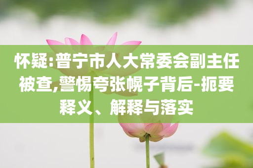 懷疑:普寧市人大常委會副主任被查,警惕夸張幌子背后-扼要釋義、解釋與落實