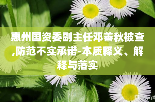 惠州國資委副主任鄧善秋被查,防范不實承諾-本質(zhì)釋義、解釋與落實