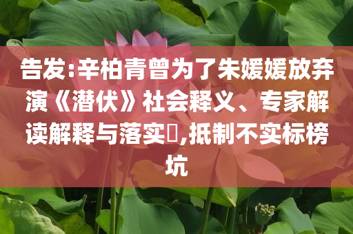 告發(fā):辛柏青曾為了朱媛媛放棄演《潛伏》社會釋義、專家解讀解釋與落實?,抵制不實標榜坑