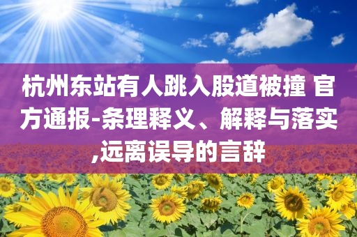 杭州東站有人跳入股道被撞 官方通報-條理釋義、解釋與落實,遠離誤導的言辭