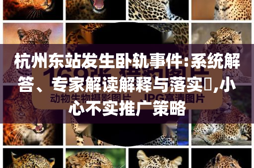 杭州東站發(fā)生臥軌事件:系統(tǒng)解答、專(zhuān)家解讀解釋與落實(shí)?,小心不實(shí)推廣策略