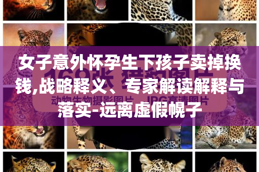 女子意外懷孕生下孩子賣掉換錢,戰(zhàn)略釋義、專家解讀解釋與落實(shí)-遠(yuǎn)離虛假幌子