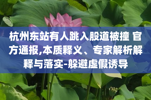 杭州東站有人跳入股道被撞 官方通報(bào),本質(zhì)釋義、專家解析解釋與落實(shí)-躲避虛假誘導(dǎo)