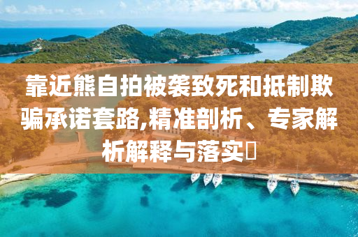 靠近熊自拍被襲致死和抵制欺騙承諾套路,精準(zhǔn)剖析、專家解析解釋與落實(shí)?
