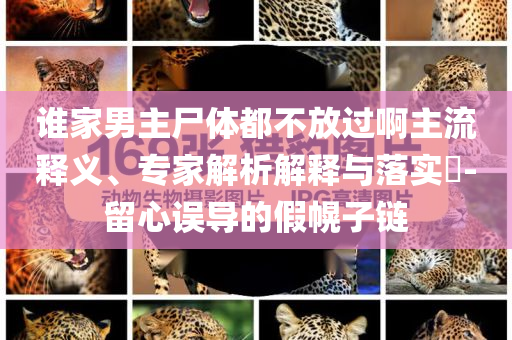 誰家男主尸體都不放過啊主流釋義、專家解析解釋與落實?-留心誤導(dǎo)的假幌子鏈