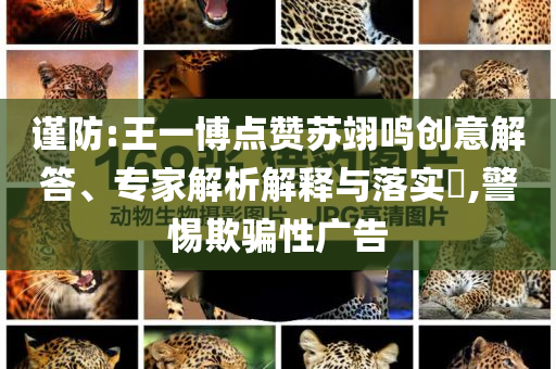 謹(jǐn)防:王一博點(diǎn)贊蘇翊鳴創(chuàng)意解答、專家解析解釋與落實(shí)?,警惕欺騙性廣告