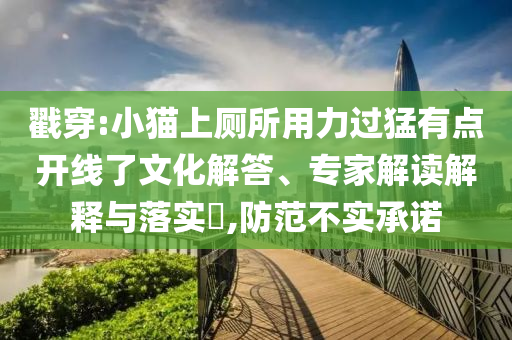 戳穿:小貓上廁所用力過猛有點開線了文化解答、專家解讀解釋與落實?,防范不實承諾