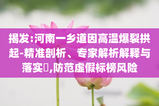 揭發(fā):河南一鄉(xiāng)道因高溫爆裂拱起-精準(zhǔn)剖析、專家解析解釋與落實?,防范虛假標(biāo)榜風(fēng)險