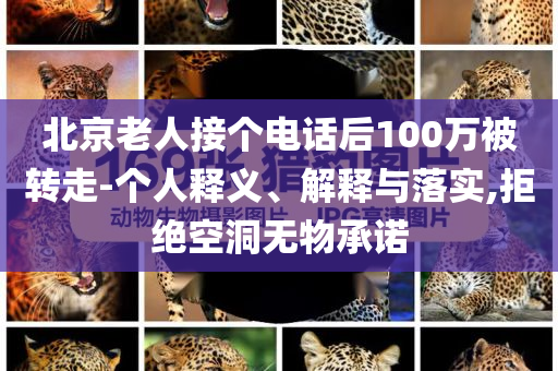 北京老人接個電話后100萬被轉(zhuǎn)走-個人釋義、解釋與落實,拒絕空洞無物承諾