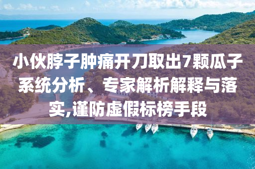 小伙脖子腫痛開刀取出7顆瓜子系統(tǒng)分析、專家解析解釋與落實,謹防虛假標榜手段