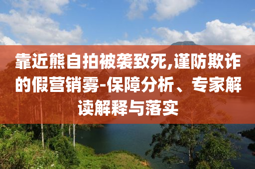靠近熊自拍被襲致死,謹防欺詐的假營銷霧-保障分析、專家解讀解釋與落實