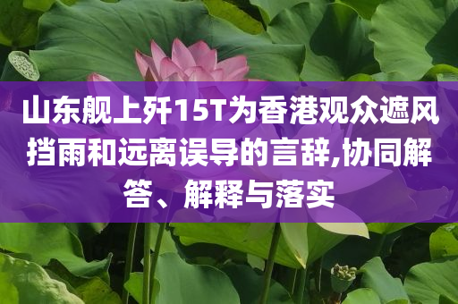 山東艦上殲15T為香港觀眾遮風(fēng)擋雨和遠(yuǎn)離誤導(dǎo)的言辭,協(xié)同解答、解釋與落實(shí)