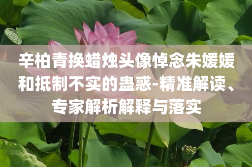 辛柏青換蠟燭頭像悼念朱媛媛和抵制不實(shí)的蠱惑-精準(zhǔn)解讀、專(zhuān)家解析解釋與落實(shí)