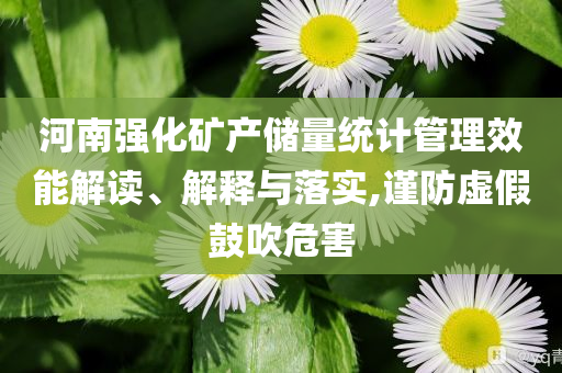 河南強化礦產儲量統(tǒng)計管理效能解讀、解釋與落實,謹防虛假鼓吹危害