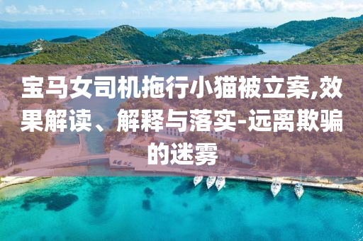 寶馬女司機(jī)拖行小貓被立案,效果解讀、解釋與落實-遠(yuǎn)離欺騙的迷霧