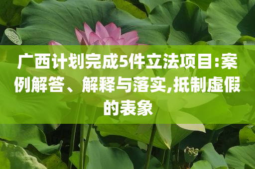 廣西計(jì)劃完成5件立法項(xiàng)目:案例解答、解釋與落實(shí),抵制虛假的表象