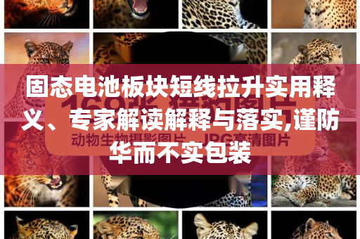 固態(tài)電池板塊短線拉升實用釋義、專家解讀解釋與落實,謹(jǐn)防華而不實包裝