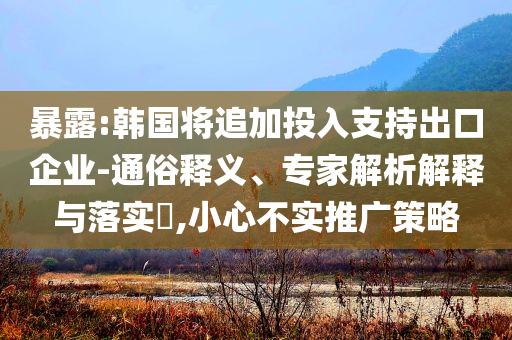 暴露:韓國將追加投入支持出口企業(yè)-通俗釋義、專家解析解釋與落實(shí)?,小心不實(shí)推廣策略