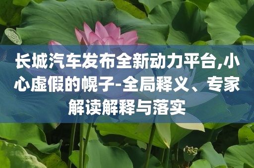 長城汽車發(fā)布全新動力平臺,小心虛假的幌子-全局釋義、專家解讀解釋與落實