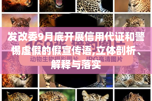 發(fā)改委9月底開展信用代證和警惕虛假的假宣傳語,立體剖析、解釋與落實(shí)