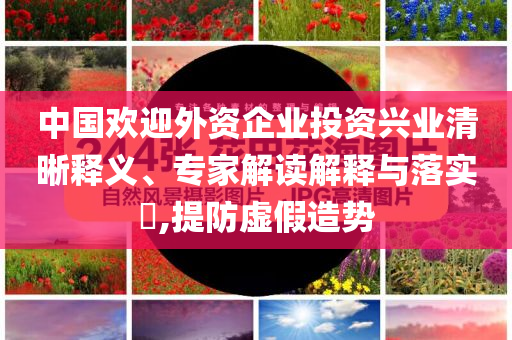 中國歡迎外資企業(yè)投資興業(yè)清晰釋義、專家解讀解釋與落實(shí)?,提防虛假造勢