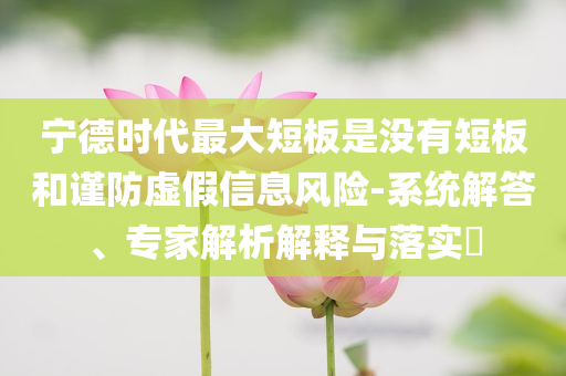 寧德時(shí)代最大短板是沒有短板和謹(jǐn)防虛假信息風(fēng)險(xiǎn)-系統(tǒng)解答、專家解析解釋與落實(shí)?