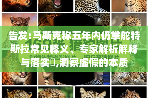 告發(fā):馬斯克稱五年內(nèi)仍掌舵特斯拉常見釋義、專家解析解釋與落實(shí)?,洞察虛假的本質(zhì)
