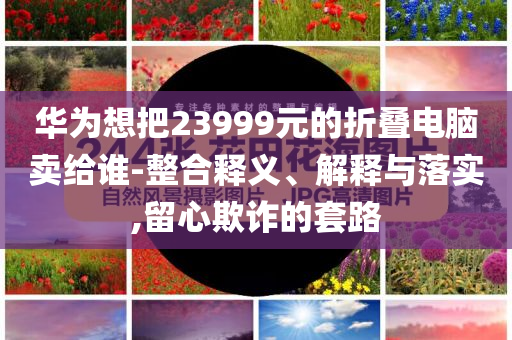 華為想把23999元的折疊電腦賣給誰-整合釋義、解釋與落實,留心欺詐的套路
