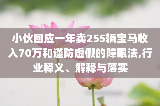 小伙回應一年賣255輛寶馬收入70萬和謹防虛假的障眼法,行業(yè)釋義、解釋與落實
