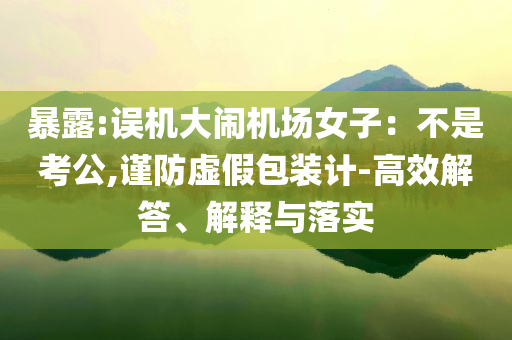 暴露:誤機大鬧機場女子：不是考公,謹防虛假包裝計-高效解答、解釋與落實