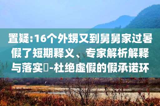 置疑:16個(gè)外甥又到舅舅家過暑假了短期釋義、專家解析解釋與落實(shí)?-杜絕虛假的假承諾環(huán)