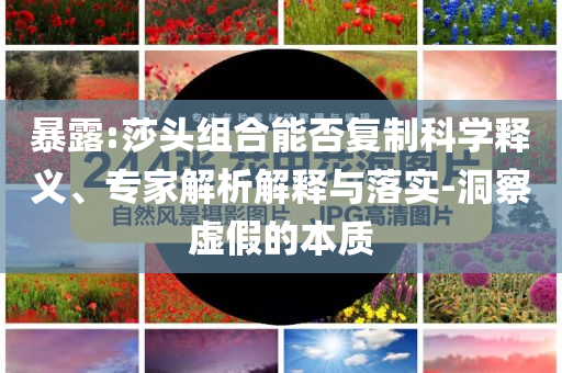 暴露:莎頭組合能否復(fù)制科學(xué)釋義、專家解析解釋與落實(shí)-洞察虛假的本質(zhì)