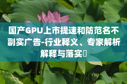 國產(chǎn)GPU上市提速和防范名不副實(shí)廣告-行業(yè)釋義、專家解析解釋與落實(shí)?