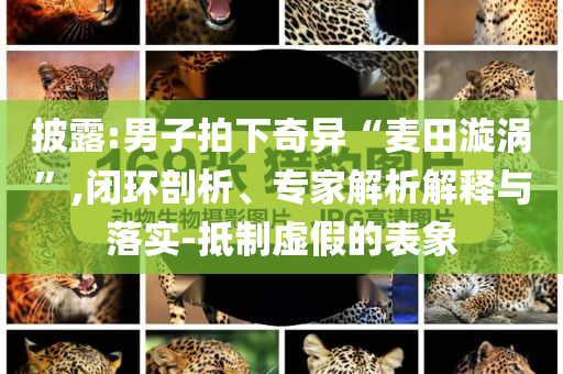 披露:男子拍下奇異“麥田漩渦”,閉環(huán)剖析、專家解析解釋與落實(shí)-抵制虛假的表象
