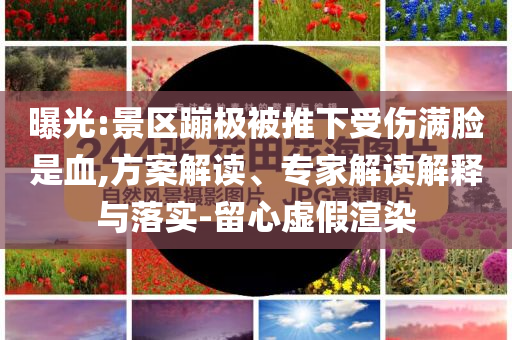 曝光:景區(qū)蹦極被推下受傷滿臉是血,方案解讀、專家解讀解釋與落實-留心虛假渲染