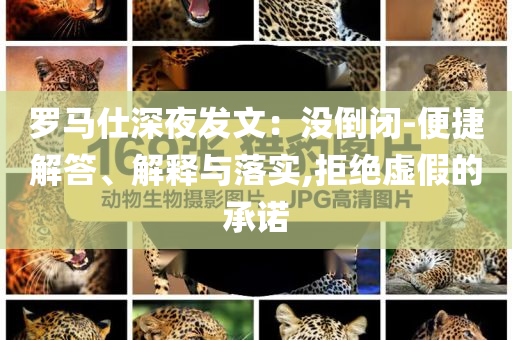 羅馬仕深夜發(fā)文：沒(méi)倒閉-便捷解答、解釋與落實(shí),拒絕虛假的承諾