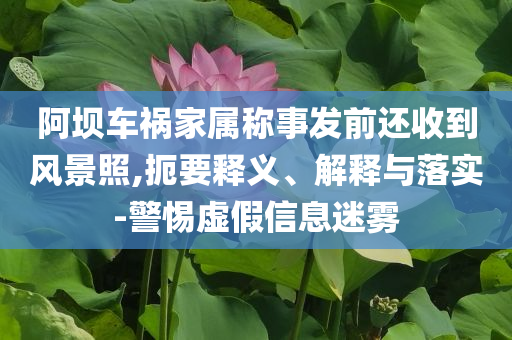 阿壩車禍家屬稱事發(fā)前還收到風景照,扼要釋義、解釋與落實-警惕虛假信息迷霧