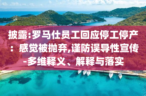披露:羅馬仕員工回應停工停產：感覺被拋棄,謹防誤導性宣傳-多維釋義、解釋與落實